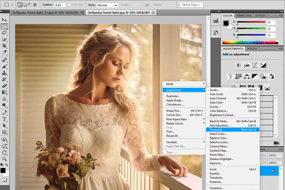 adobe photoshop cs4 free download - edit images create