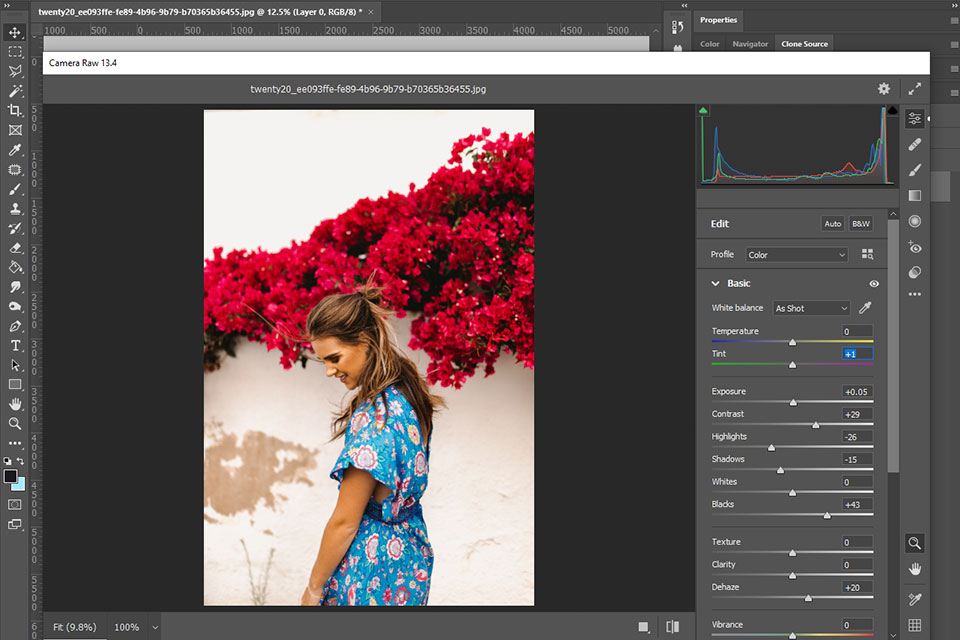 adobe photoshop on1 photo raw alternative interface