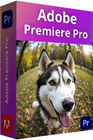 adobe premiere pro box