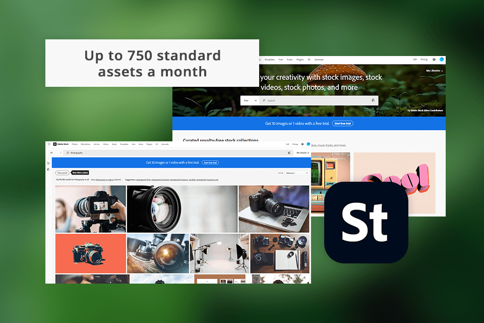 adobe stock asset library