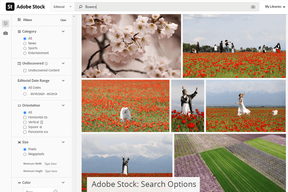 البحث في مخزون Adobe