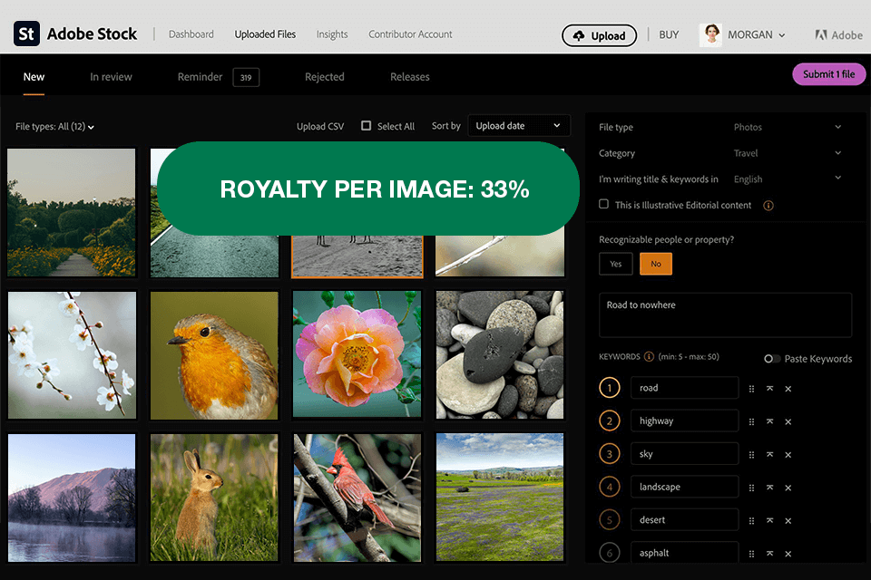 adobe stock place to sell photos online