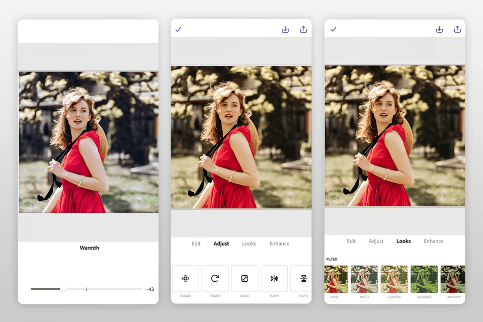 adobe express profile picture app interface