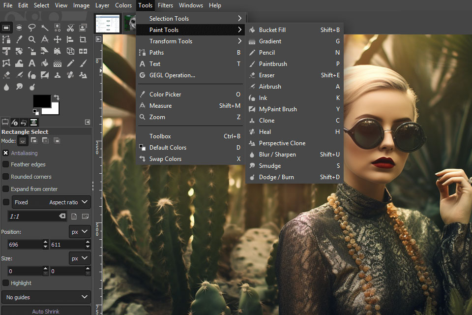gimp interface