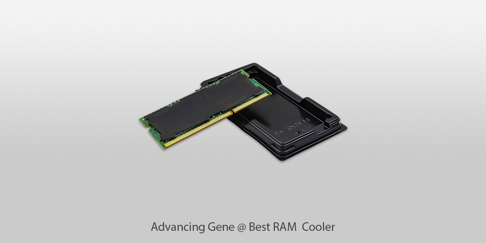 advancing gene cooler