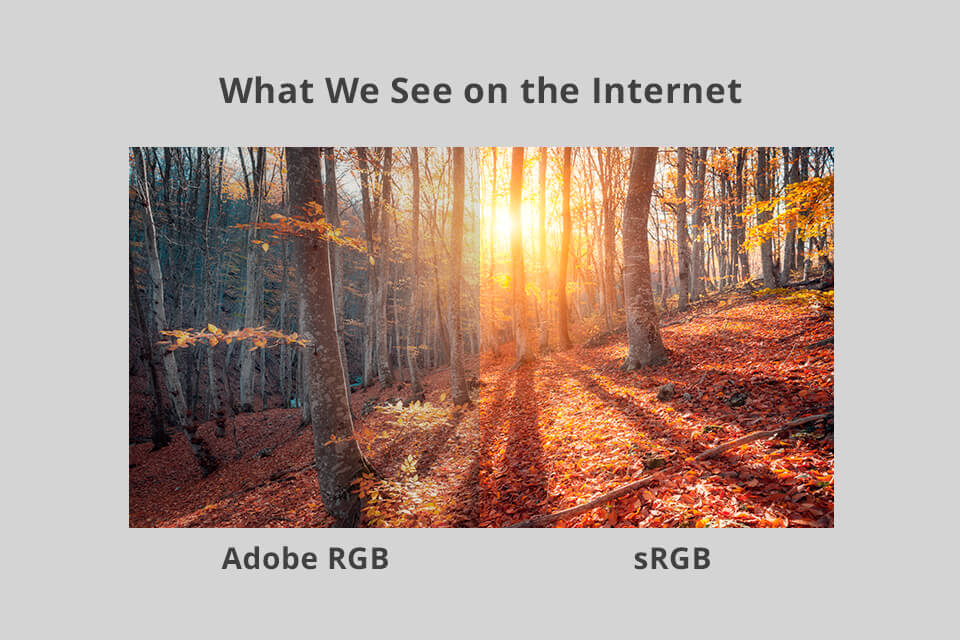 advantages of srgb