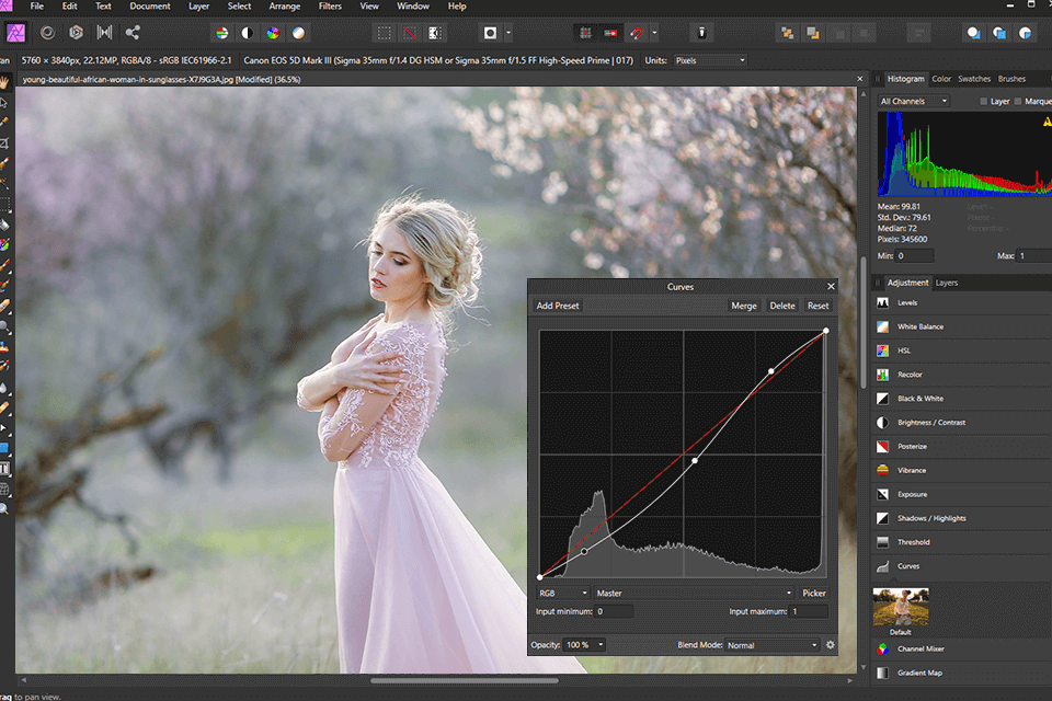 تقارب صور واجهة بديلة للصور