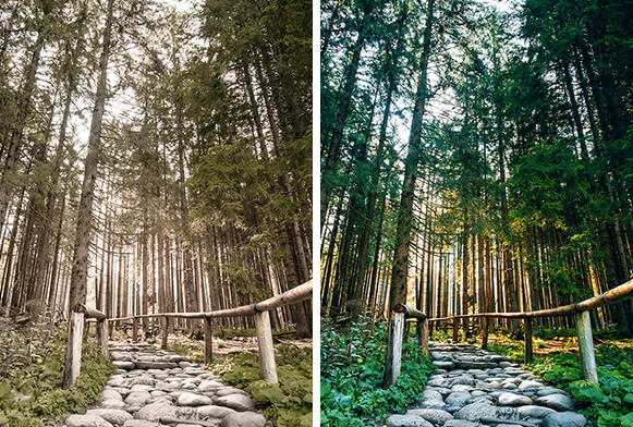 beste fcpx luts