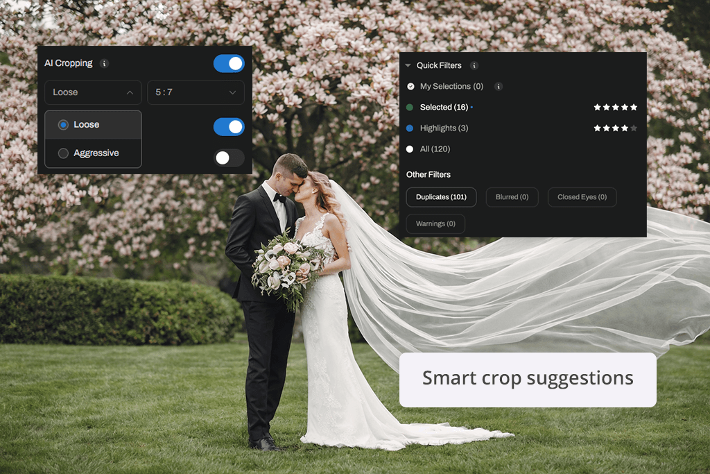 aftershoot suggest optimal crops