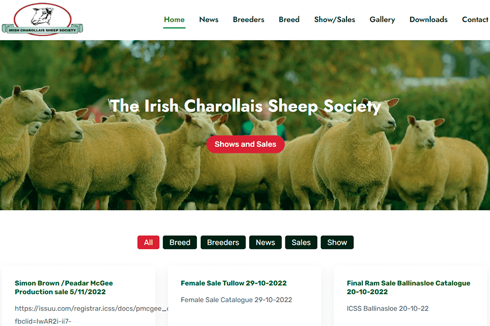 agile digital strategy web design