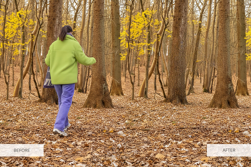 ai photo editor object removal