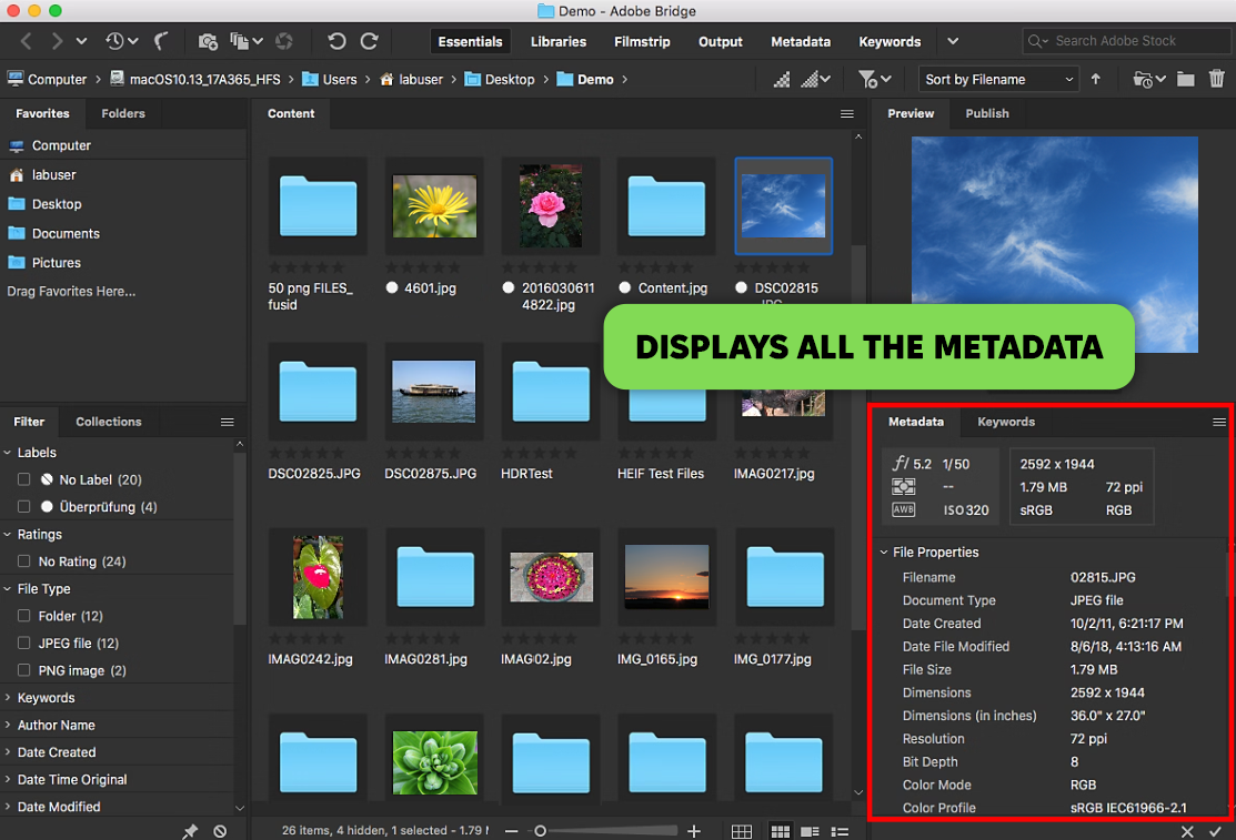 adobe bridge daminion alternative