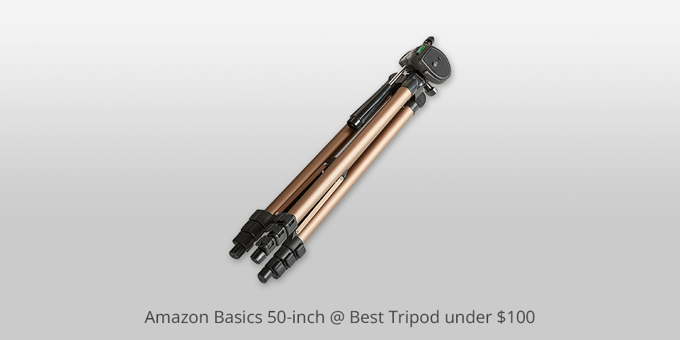 tripod under 100