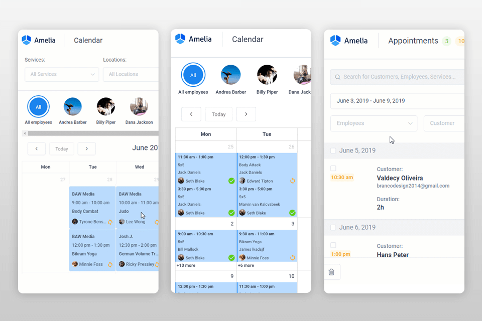 amelia photography booking app interface