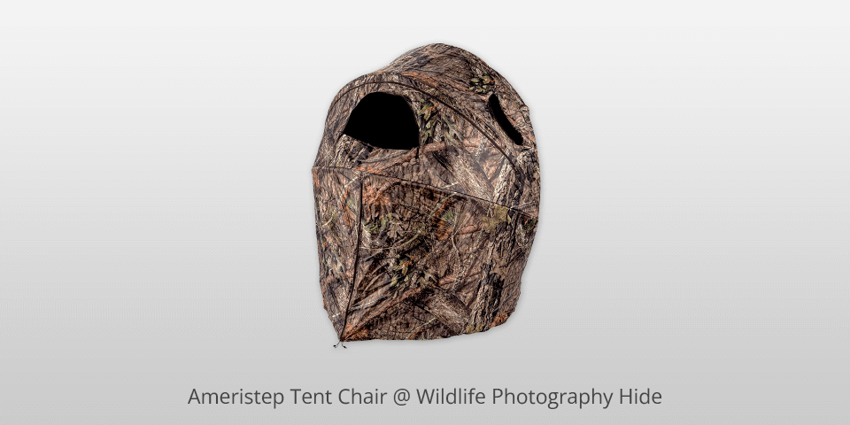 ameristep tent chair wildlife photography hide