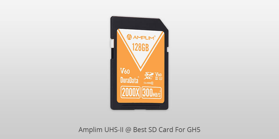 amplim uhs-ii sd card for gh5