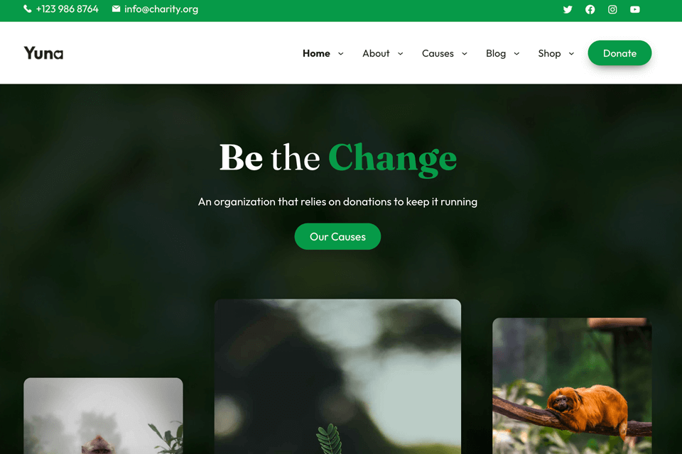 anariel design organizations