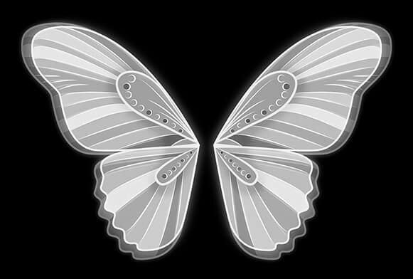 butterfly wings png