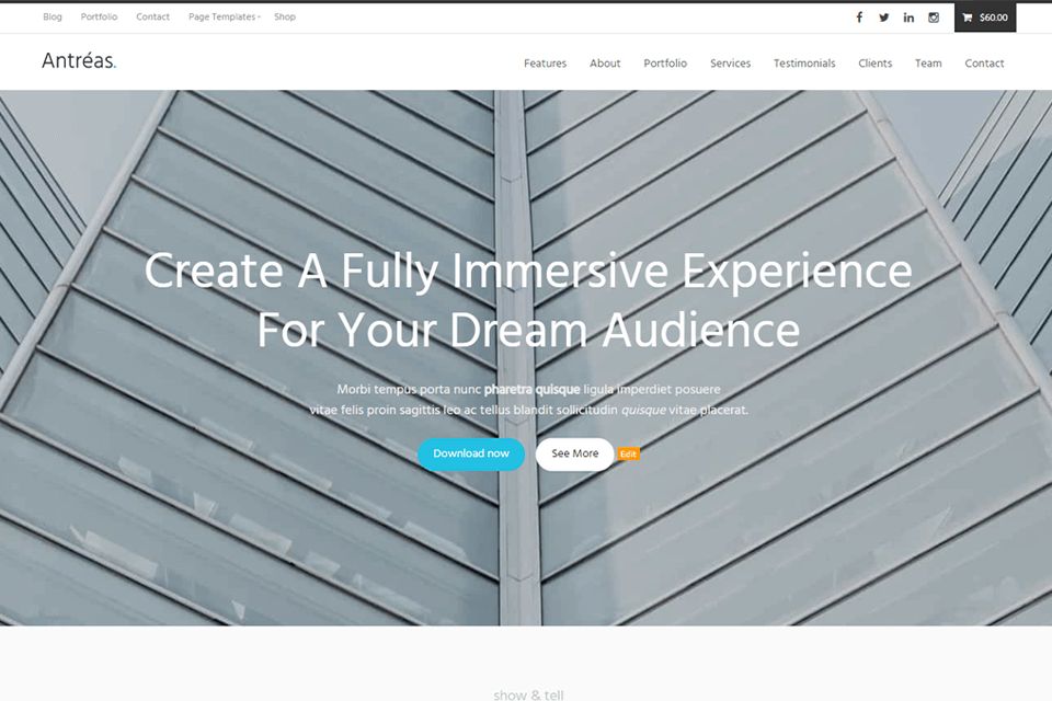 antreas wordpress video theme interface