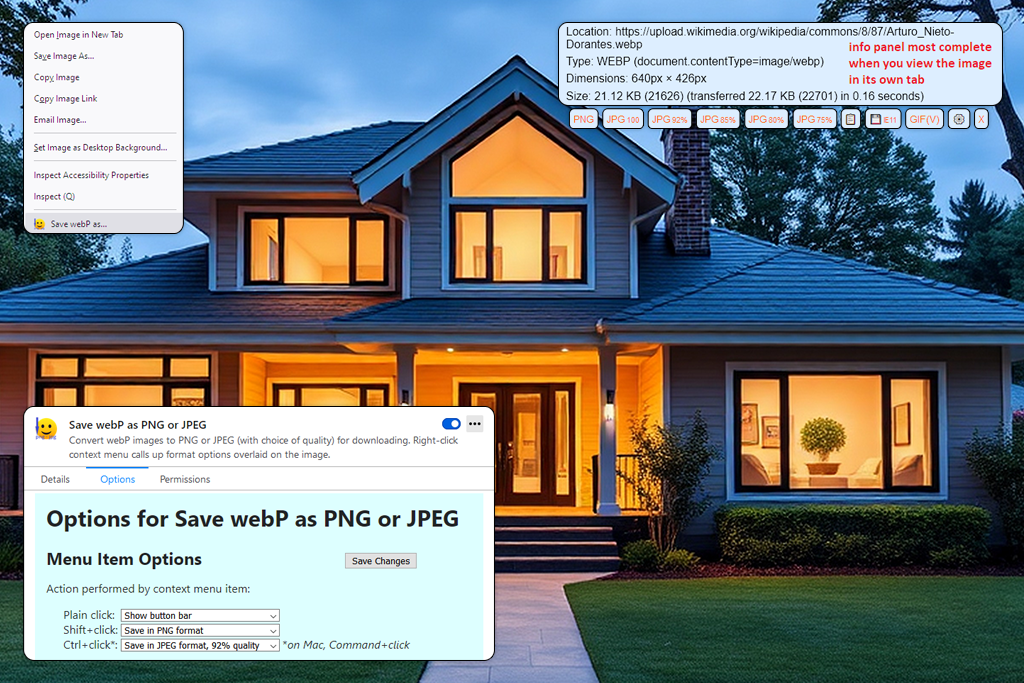 anywebp webp to jpg converter software