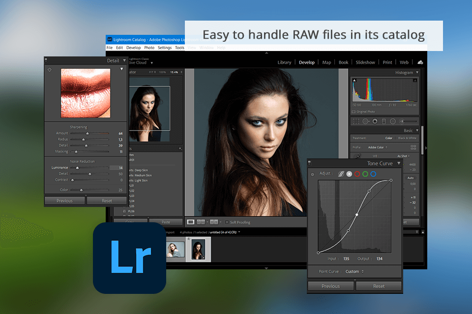 lightroom raw editing