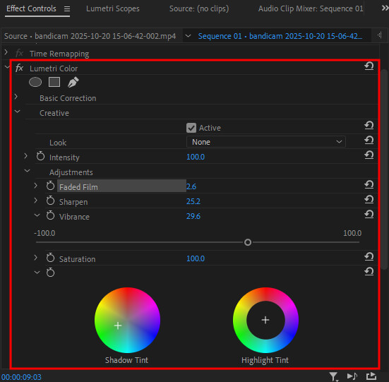 apply effects to the masked area made with auto object masking in adobe premiere pro