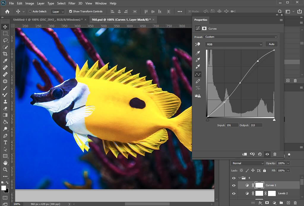 aquarium photography distortion
