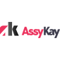 assy kay web design company logo