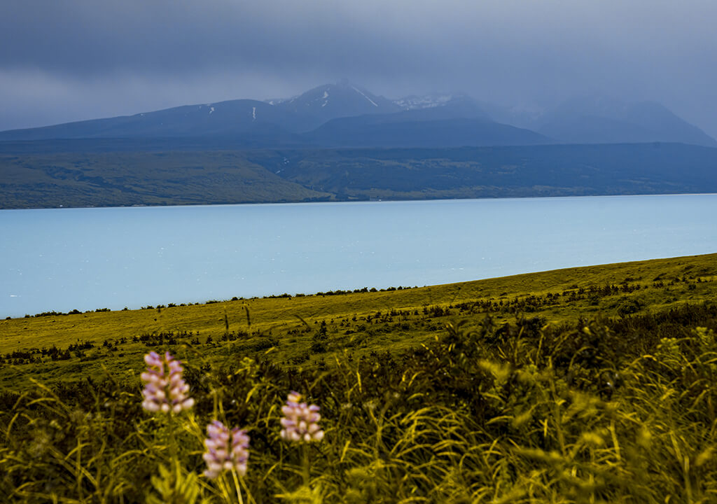 asymmetrical balance photography example negative space