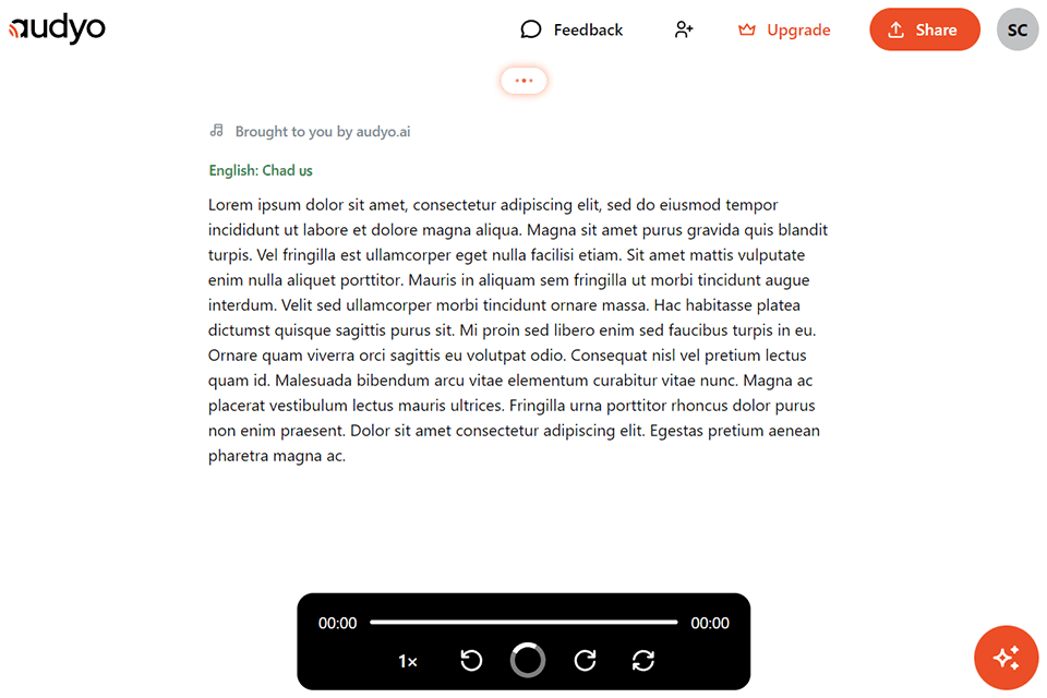 audyo ai audio tool interface