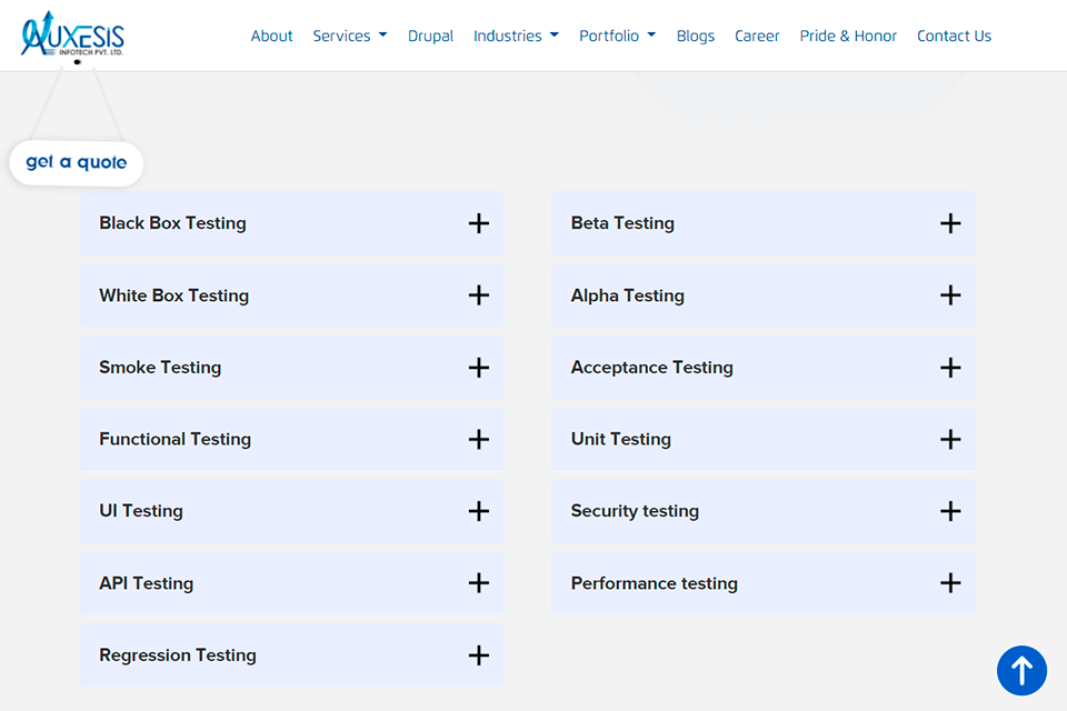 auxesis web development agency testing