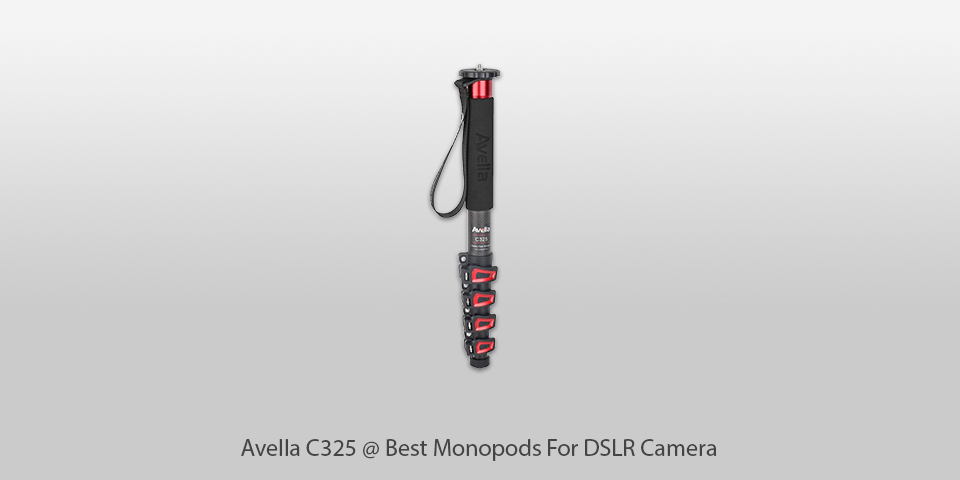 avella c325 monopod for dslr camera