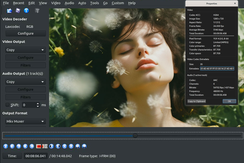 avidemux video editing software for windows interface