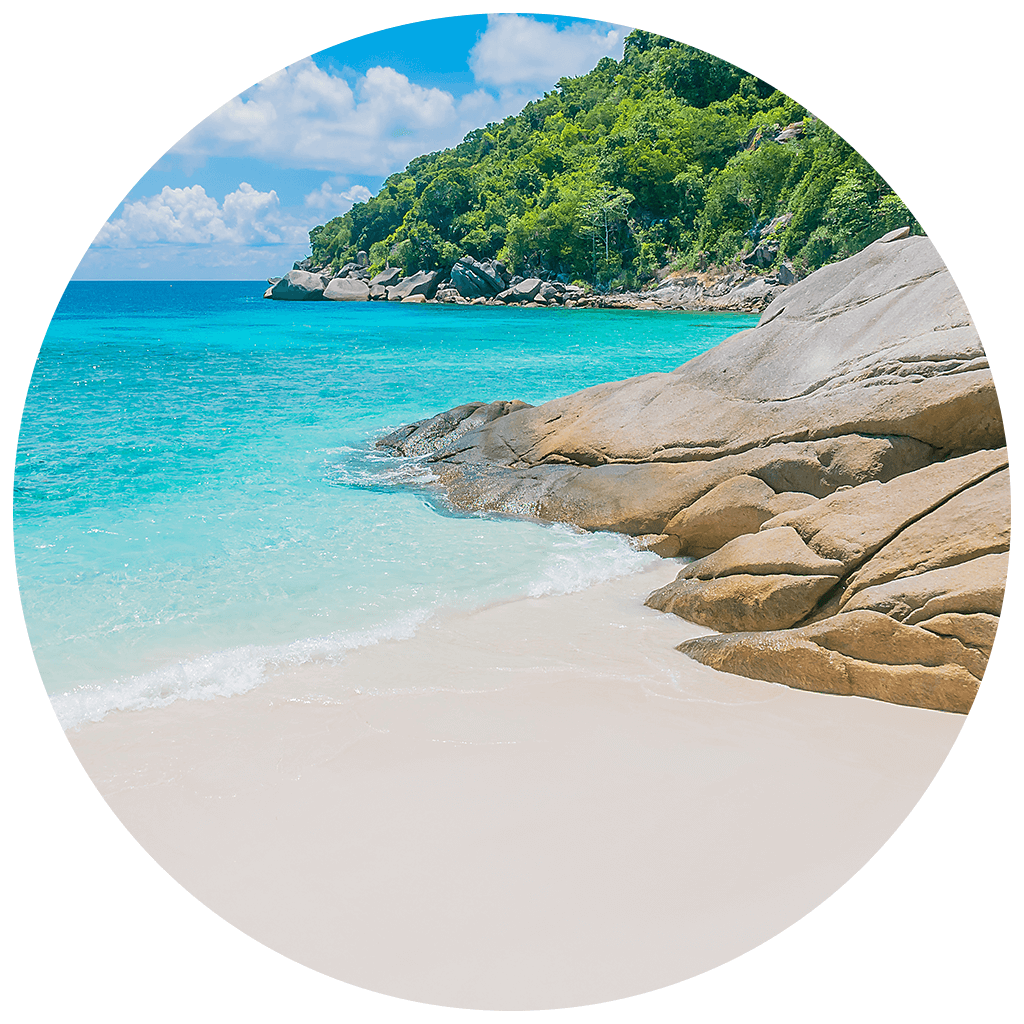 beach whatsapp profile picture idea