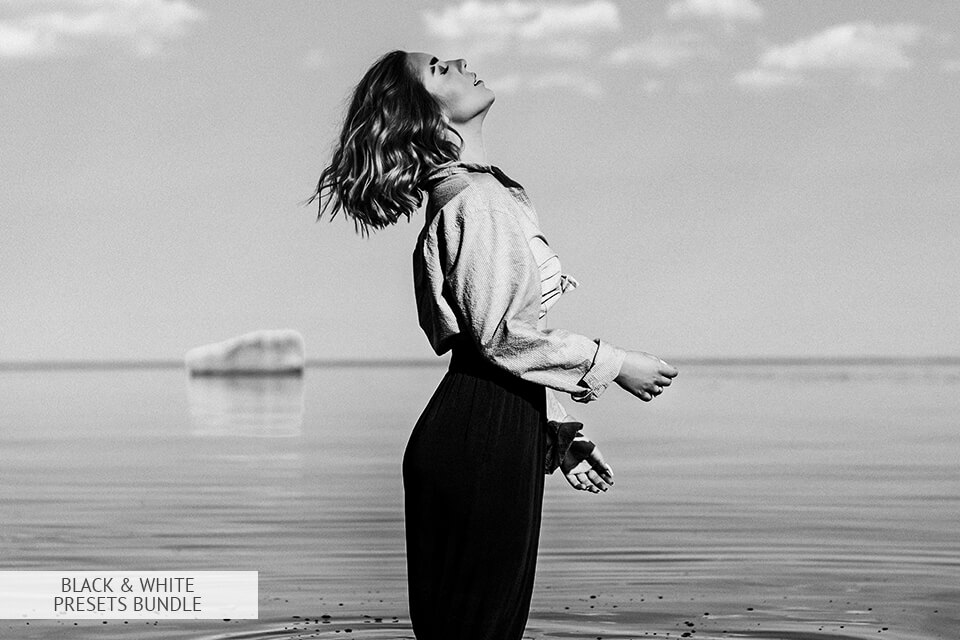 beart lightroom presets black and white bundle