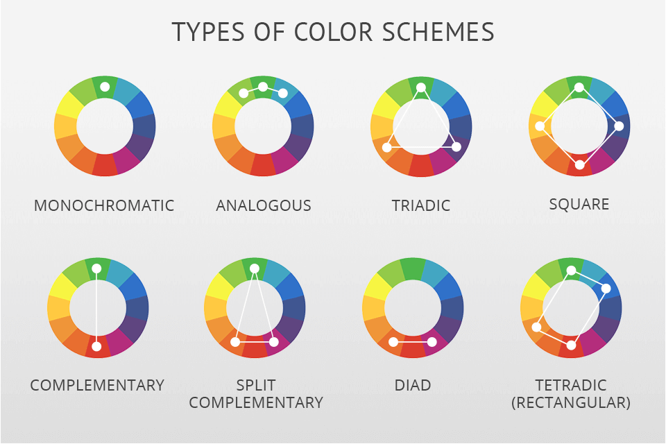 beautiful photography color wheel