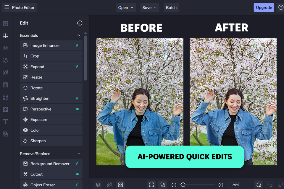 befunky fotor alternative