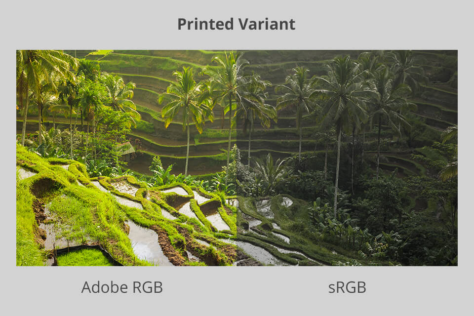 SRGB Vs Adobe RGB: Which Color Mode Is Better In 2024