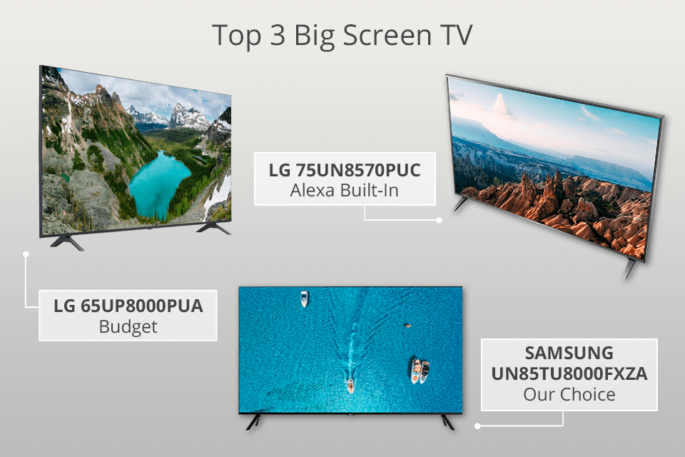 5 Best Big Screen TVs in 2024 Worth Your Money?