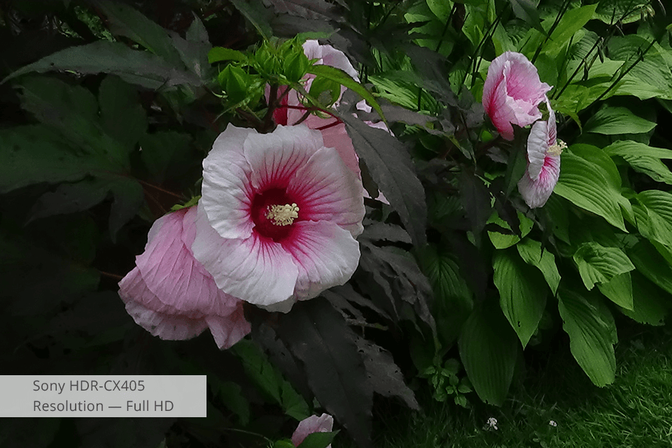 best budget video camera how to choose