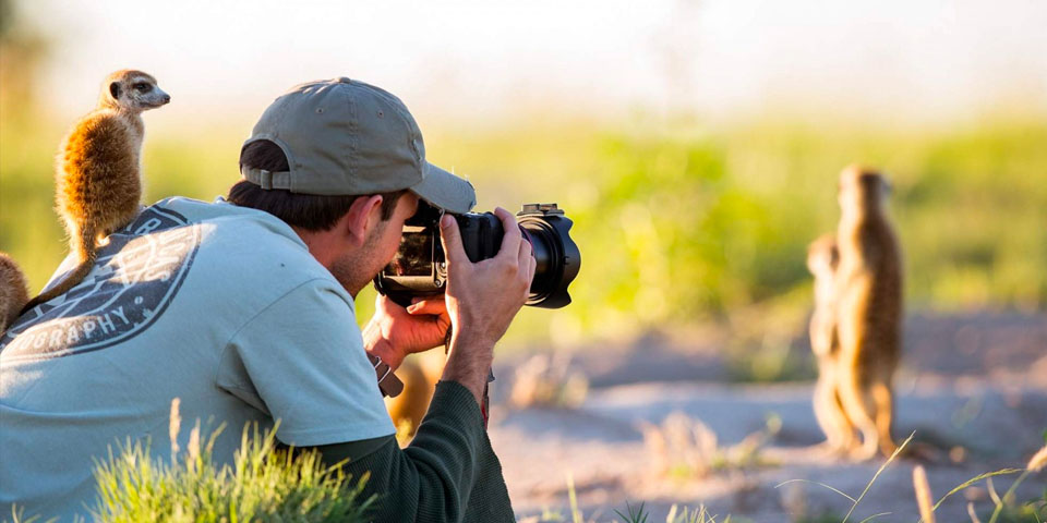 Choosing the Best Nature Camera