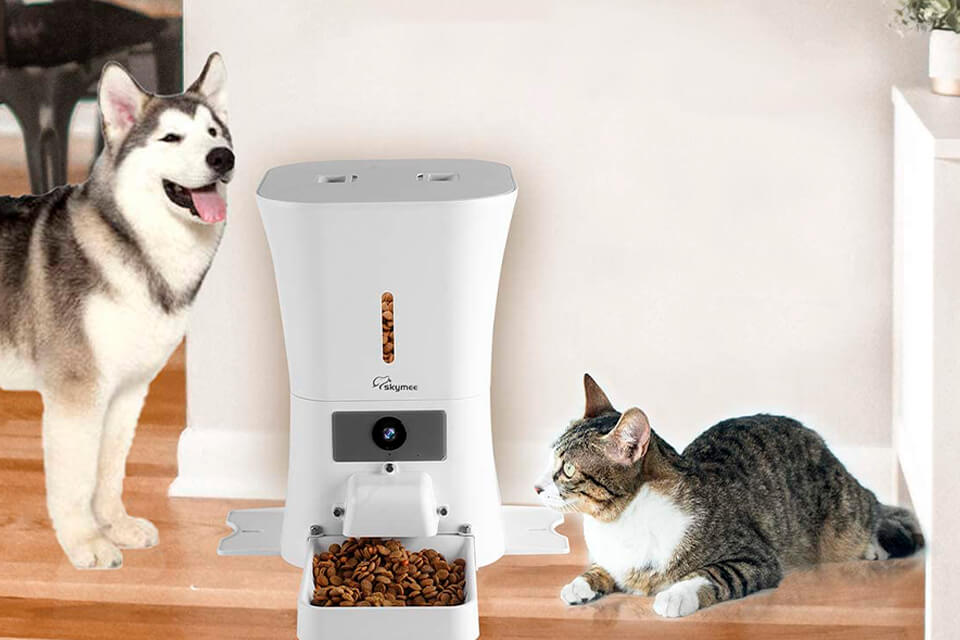 how to choose the best cat camera