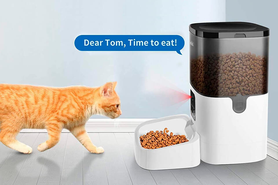 how to choose the best cat camera