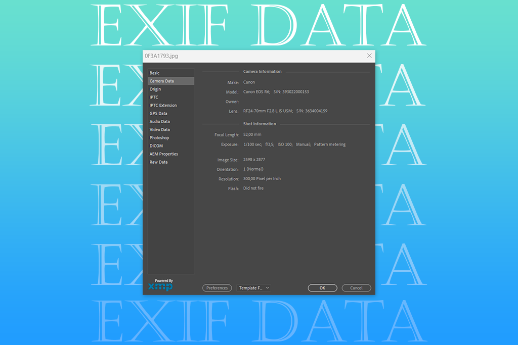 best copyright infringement checker