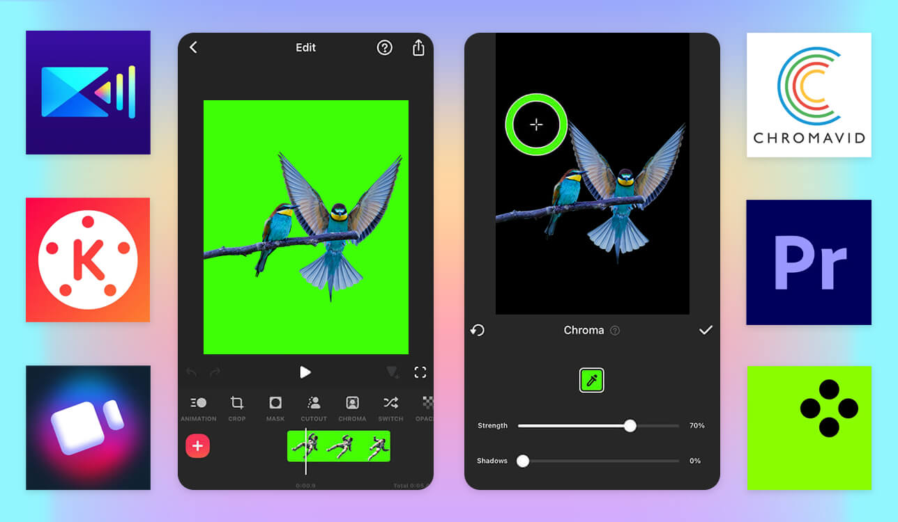 best free green screen app cover