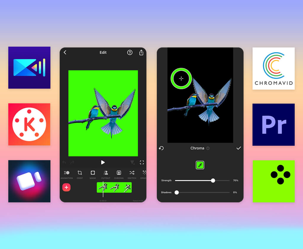 best free green screen app cover