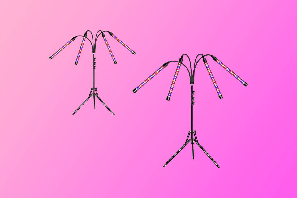 8 Best Grow Lights For Orchids in 2024