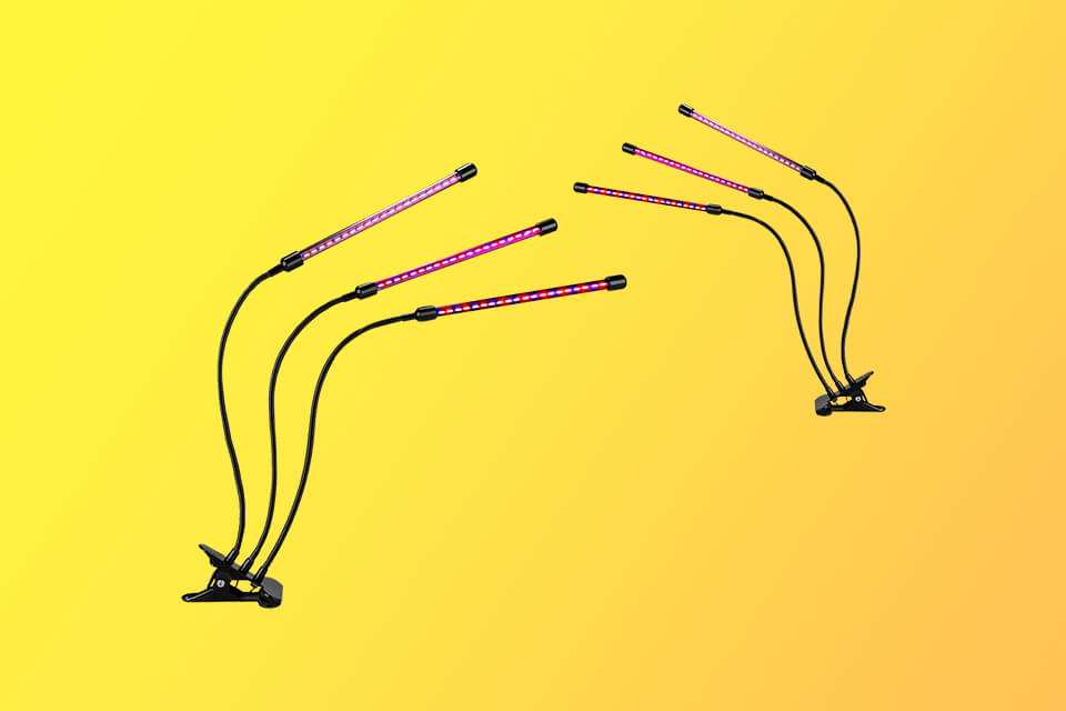 8 Best Grow Lights For Orchids in 2024