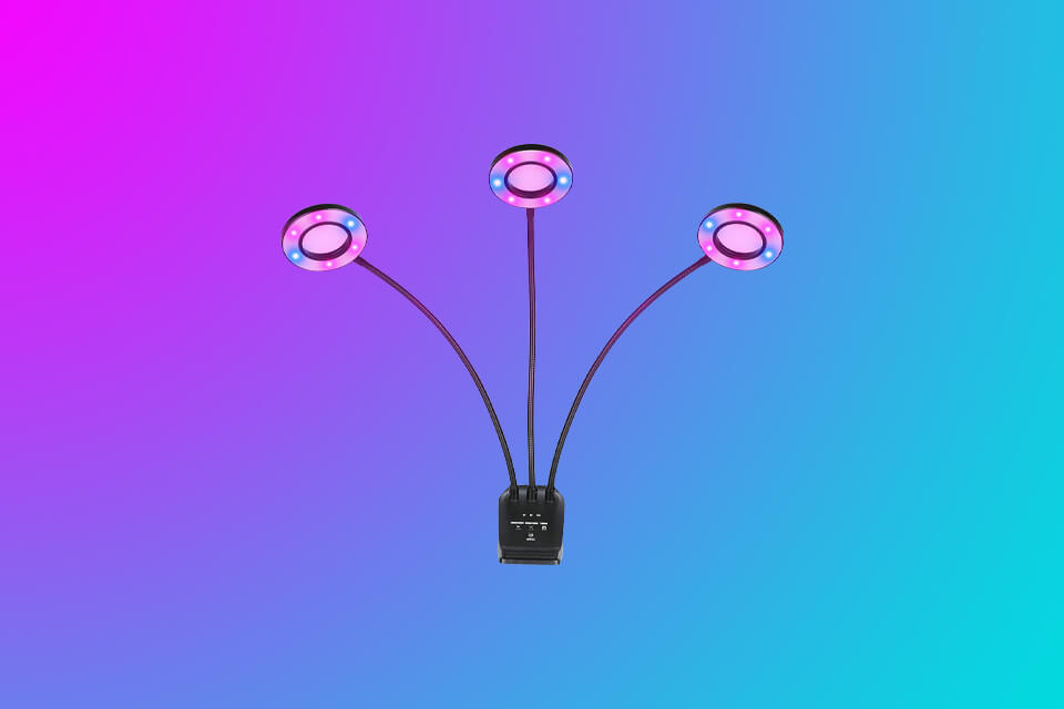 6 Best Grow Lights For Succulents in 2023