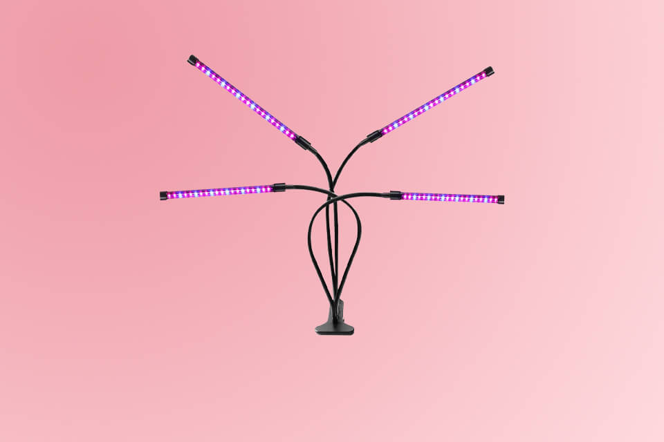 6 Best Grow Lights For Succulents in 2023